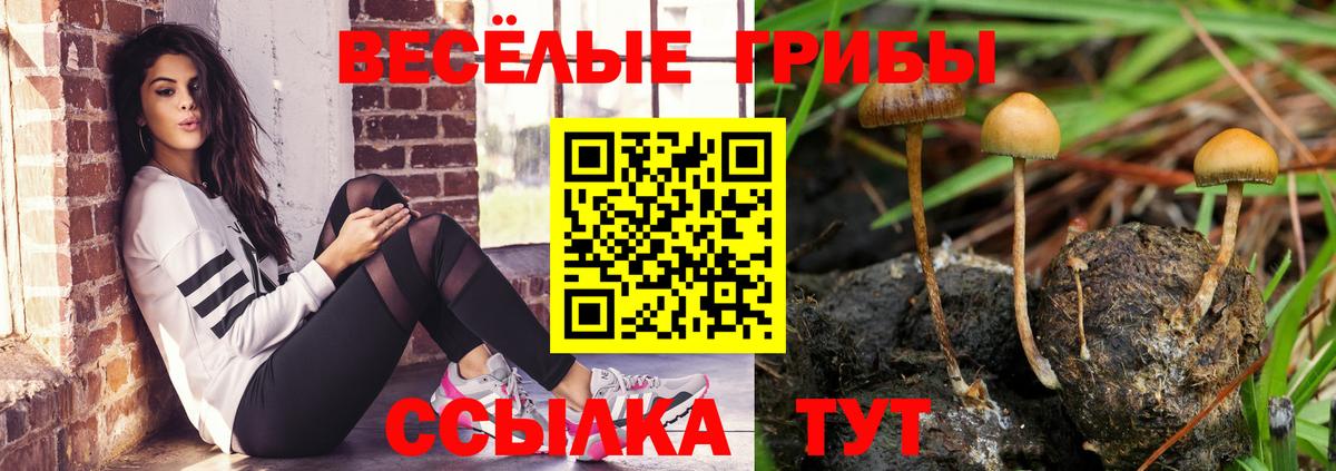 Кубинка  Галлюциногенные грибы MAGIC MUSHROOMS  Вход с VPN 