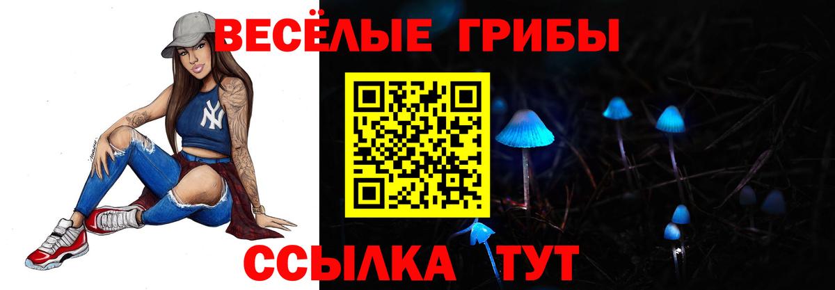 Галлюциногенные грибы Cubensis Кубинка